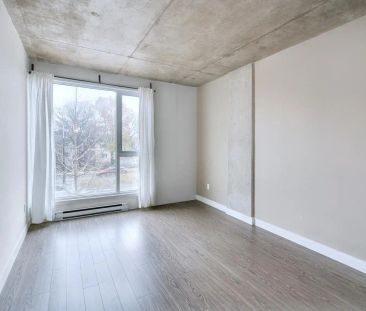 250-260-270 Maisonneuve — 260-302 - Photo 4