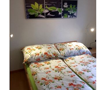 2 Zimmer-Wohnung in Hondrich (BE), möbliert, auf Zeit - Photo 1