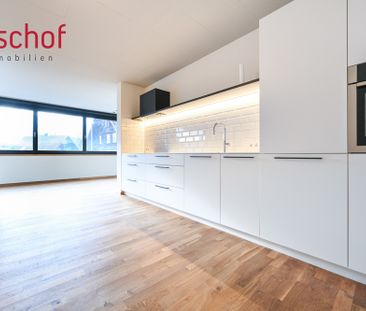 Sehr schöne 2-Zimmer Terrassenwohnung - Foto 3