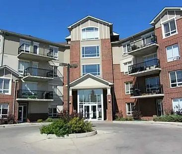 Pet Friendly Newly Renovated Condo with Underground Parking | Edmonton - Photo 1