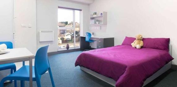 Premium Studio, Poulson House, Stoke-on-trent Student Village, ST4 - Photo 2