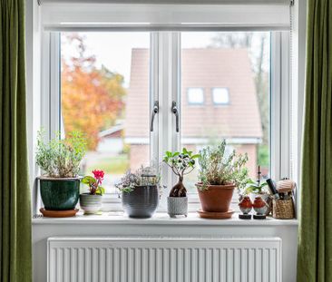 3 bedroom penthouse to rent - Photo 3