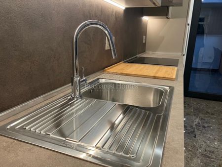 Three Bedroom Ground Floor Apt with Garden - Primaverii - Fotografie 5