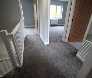 1a Wedderburn Gardens, Finaghy, Belfast, BT10 0FZ - Photo 5