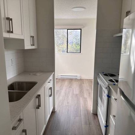 1-Bedroom Fully Renovated close to SkyTrain (Lougheed) - Photo 1