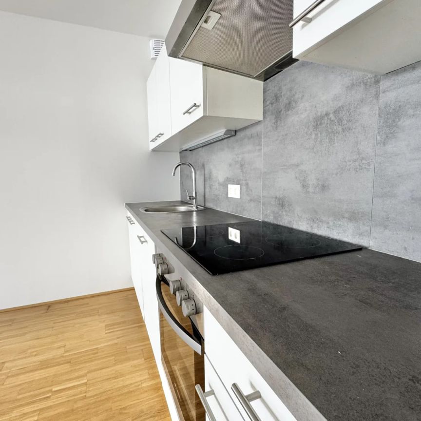 AKTION - 2 MONATE MIETZINSFREI - Wohnen mit Weitblick – Stilvoll leben im Süden von Graz - Foto 1