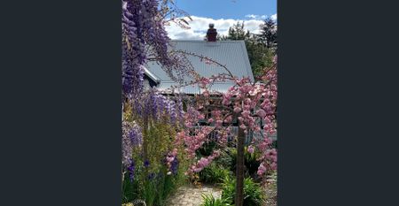 Guyong Cottage In Convenient Location! - Photo 2