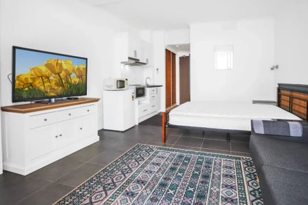 Fully Furnished Studio Apartment - Photo 2