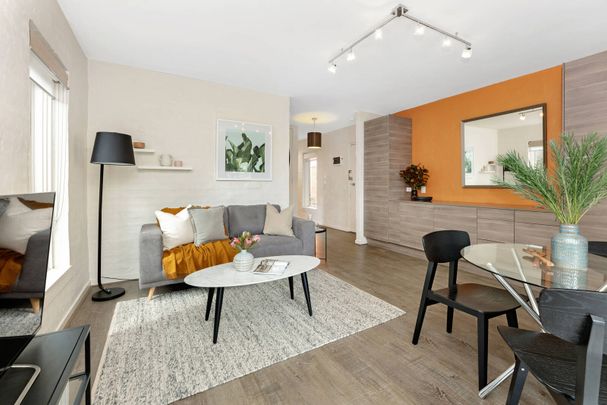 1/334 Hampton Street, Hampton VIC 3188 - Apartment For Rent | Domain - Photo 1