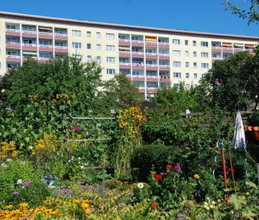 2-Raum-Wohnung mit Balkon nahe Zeisigwald - Foto 3