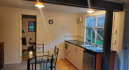 For Rent - Studio Apartment - Raurimu - Photo 3