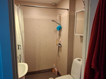 Annegretebergsgatan, Uddevalla - Foto 5