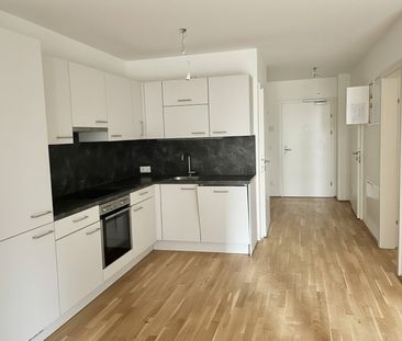 Moderne 3 Zi Wohnung mit Garten - nahe U1 - Photo 5
