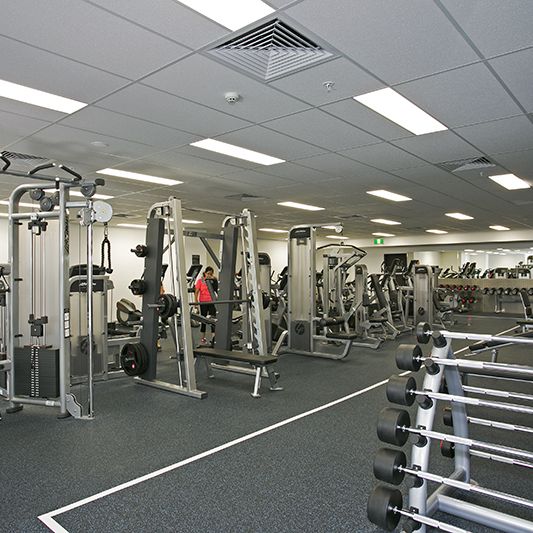 3 Carlton St, Chippendale NSW 2008 - Apartment For Rent | Domain - Photo 1