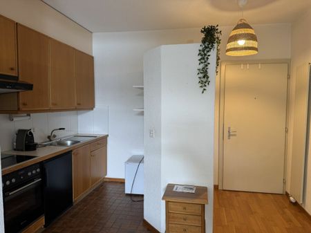Leben mit Seeblick! - Foto 4