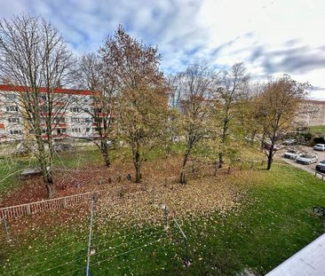 3-Zimmer Wohnung zu vermieten - Foto 4