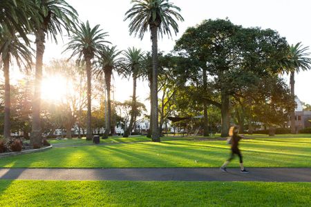 18.05/7-9 Gibbons Street, Redfern NSW 2016 - Apartment For Rent | Domain - Photo 4