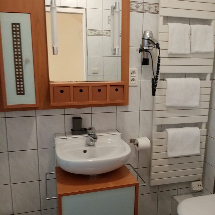 Location Appartement 1 pièce 28m² STRASBOURG 67000 - Photo 1