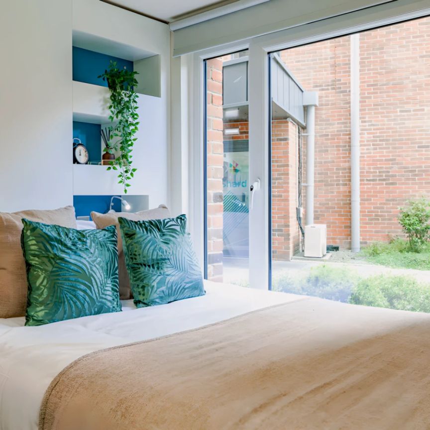 Studio Plus (4th) - Photo 1