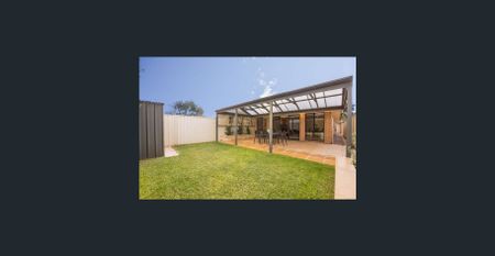 I’m bigger than I look! - Photo 2