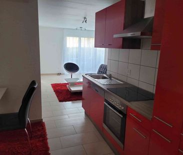 3.5 Zimmer, 67 m², EG - Foto 3