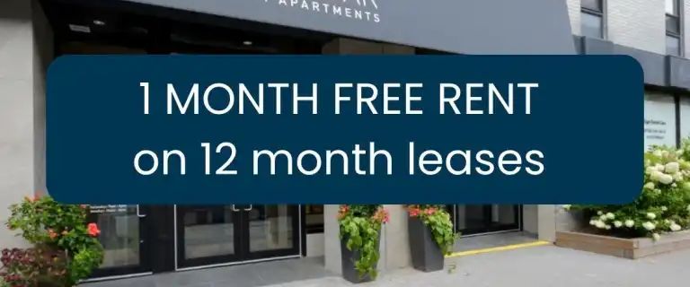 169 Lisgar St. | 169 Lisgar Street, Ottawa - Photo 1