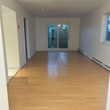 Appartement 1 chambre — 1 mois gratuit ! - Photo 4