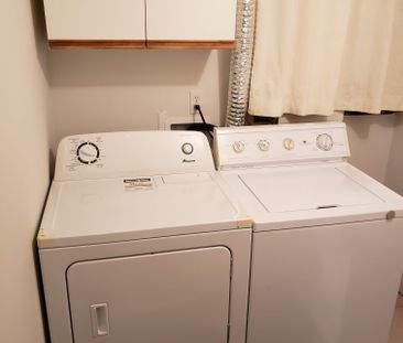 For Lease - 19 Bingham Street Unit# Basement, Richmond Hill, Ontario - Photo 3