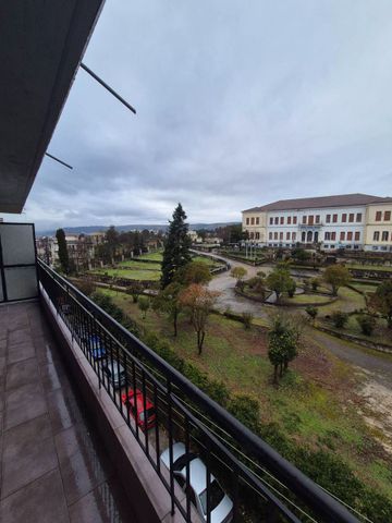 Studio/Γκαρσονιέρα για ενοικίαση Λόφος Βελισσαρίου - Λούτσα (Ιωάννινα) - Φωτογραφία 2