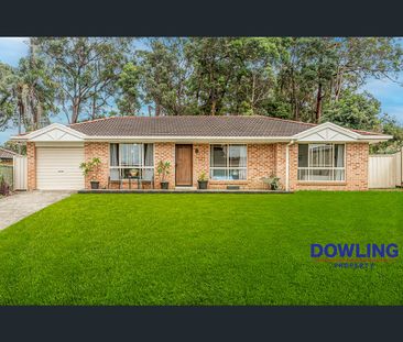 44 Macadamia Circuit, Medowie, NSW 2318 - Photo 5