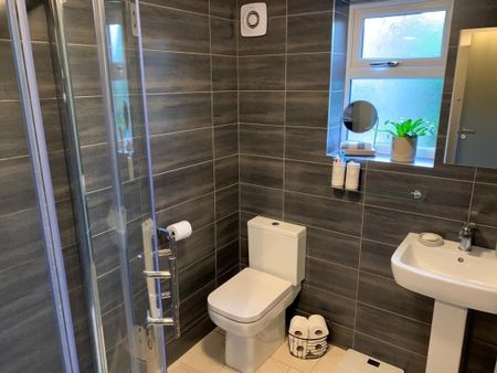 1 bedroom house to rent - Photo 4