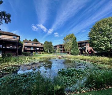 Studio to rent - Photo 6