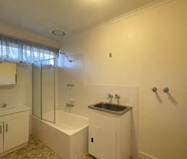 Updated 2 bedroom apartment - Photo 6