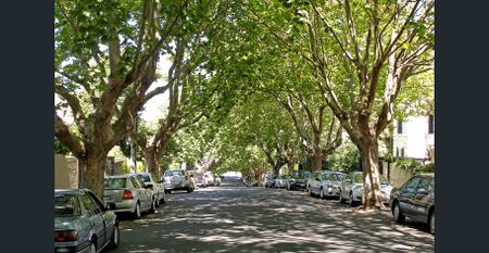 Sun Filled One Bedroom in Coveted Locale - Photo 5