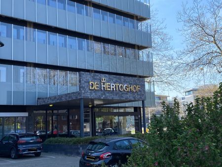 Te huur: Appartement Hertog Hendrik van Brabantplein in Eindhoven - Photo 3