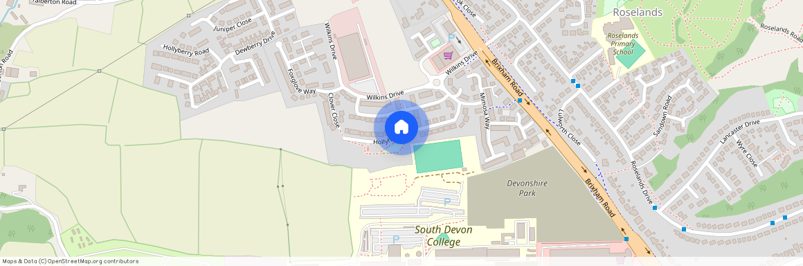 Hollyhock Way, PAIGNTON, TQ4