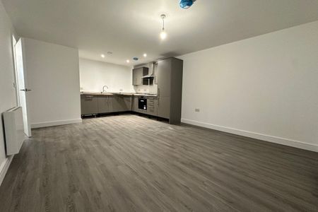 1 Mill house, Abbeygate Court, March - Photo 4