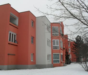 1-Zimmer-Wohnung mit Loggia, Top 302 - Foto 3