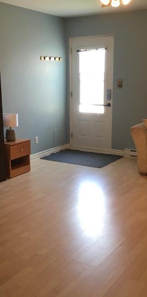 Grand studio tout équipé près du mont Ste-Anne - Photo 1