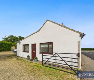 2 bedroom Bungalow To Let Total Size: 571 SQ FT - Photo 5
