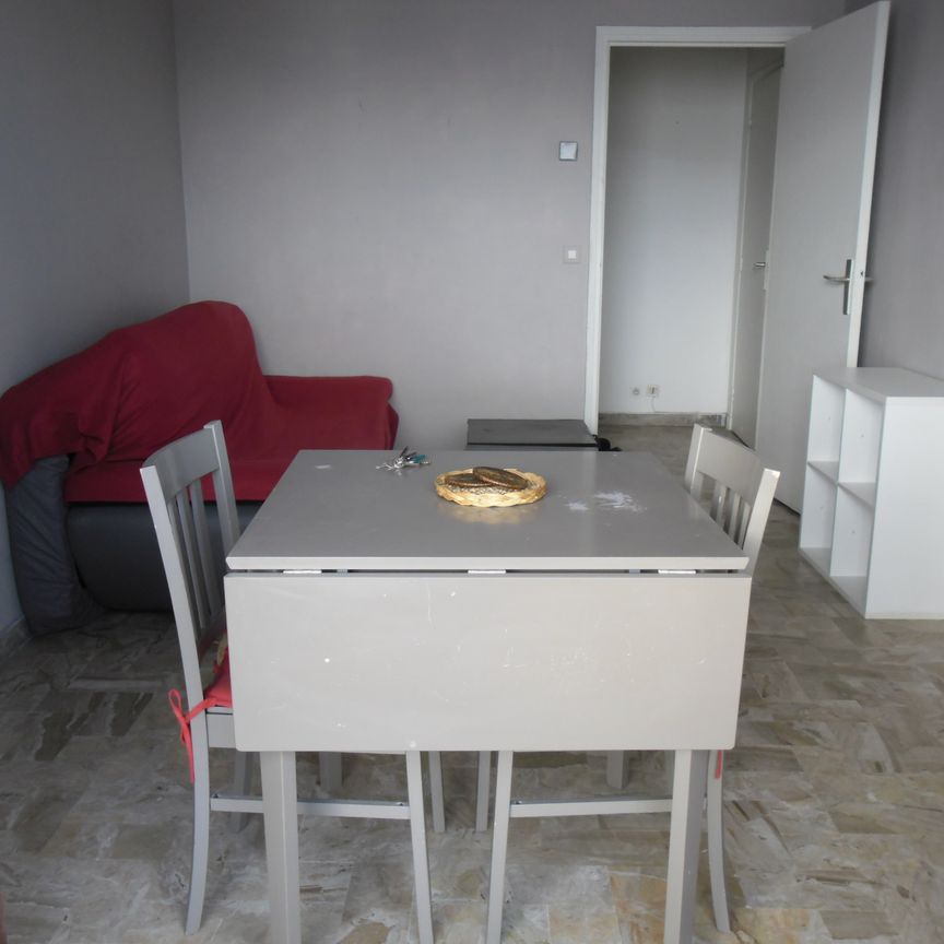 Location Appartement 1 pièce 26m² AJACCIO 20000 - Photo 1