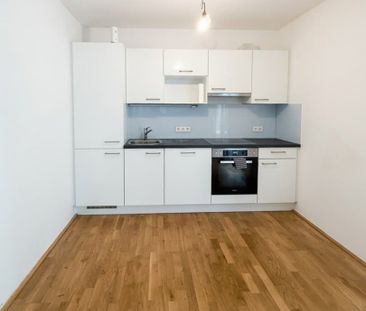 Nahe Türkenschanzpark: Ruhige Gartenwohnung in absoluter Ruhelage - Foto 3