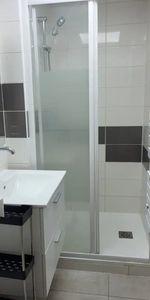 Location Appartement 1 pièce 20m² - Photo 4