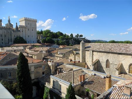 AVIGNON INTRA MUROS: Terrasse avec vue unique sur le Palais des Papes et Avignon. - Photo 3