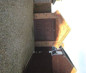 Tulip Fields, Spalding, Whaplode - Photo 2