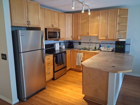 Modern 2-Bedroom Condo with Underground Parking in Prime Calgary Location - Photo 3