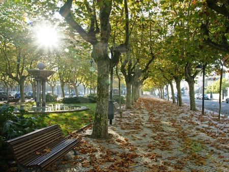 Apartamento T3 em Porto - Photo 4