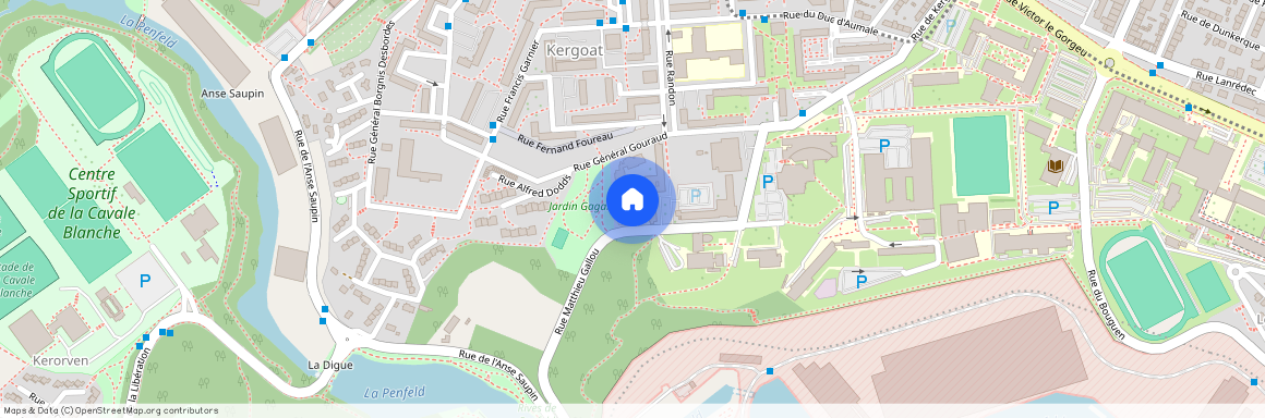 BREST 29200