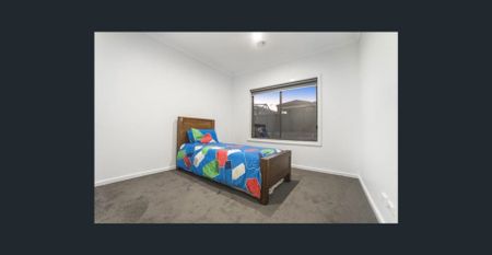 Large Family Delight - Photo 5