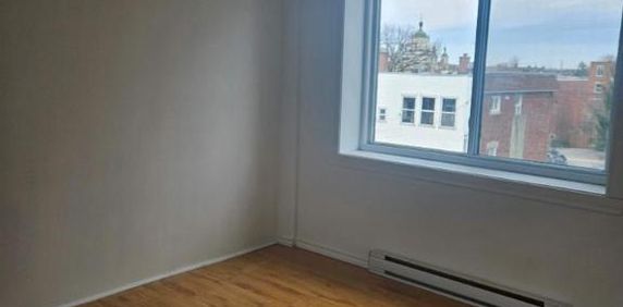1 CH - 1 SDB - Montréal - $1,345 /mo - Photo 2
